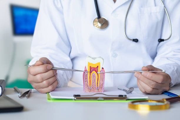 Best Emergency Root Canal Treatment in Union Springs, AL
